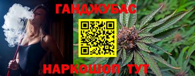 бошки Кингисепп