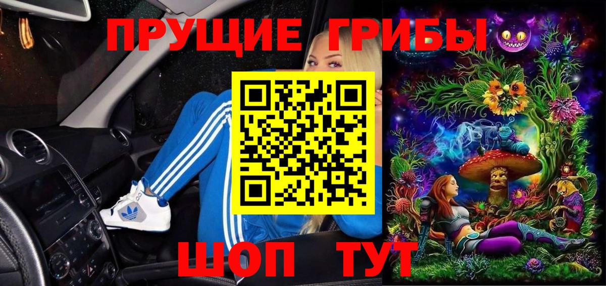 Галлюциногенные грибы Cubensis  Вход с VPN  Кольчугино 