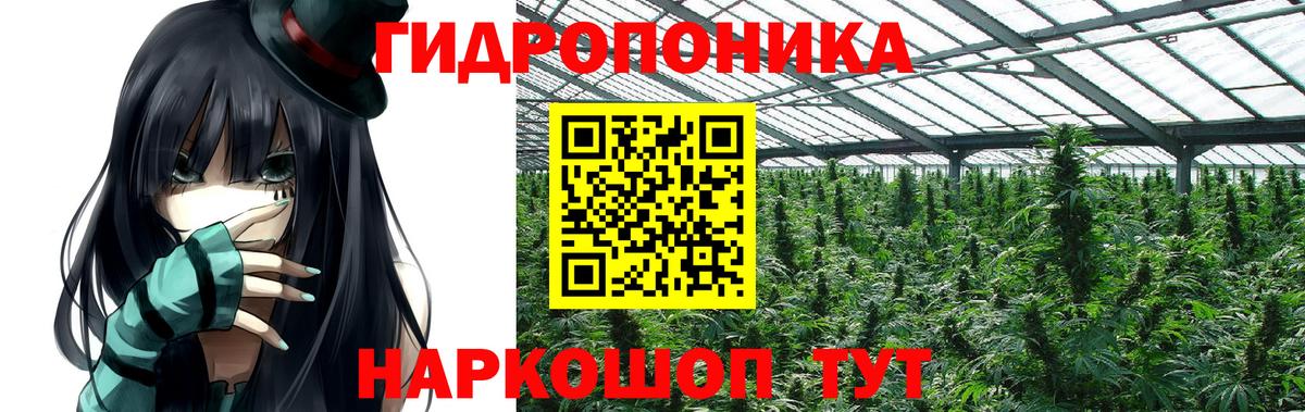 Бошки Шишки конопля  Бошки Шишки марихуана  Кольчугино  Конопля White Widow  МАРИХУАНА ГИДРОПОН  Вход с VPN 